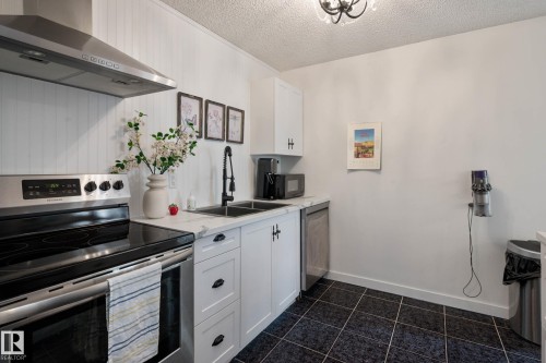 201 10743 107 Street, Edmonton, AB - Indoor Photo Showing Kitchen With Double Sink
