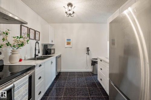 201 10743 107 Street, Edmonton, AB - Indoor Photo Showing Kitchen With Double Sink