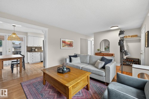 11006 154 Street, Edmonton, AB - Indoor Photo Showing Living Room