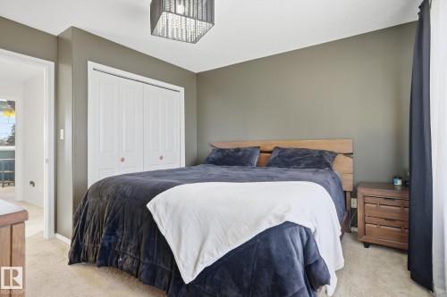 11903 51 Street, Edmonton, AB - Indoor Photo Showing Bedroom