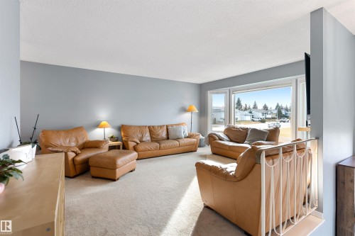 16717 109A Street, Edmonton, AB - Indoor Photo Showing Living Room