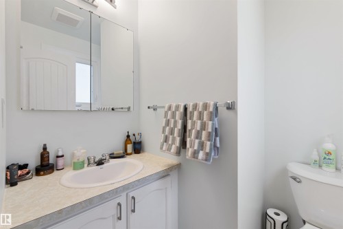 16717 109A Street, Edmonton, AB - Indoor Photo Showing Bathroom