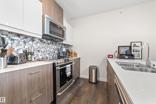 404 10227 115 Street, Edmonton, AB - Indoor Photo Showing Kitchen With Double Sink