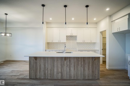 9740 Carson Place, Edmonton, AB - Indoor Photo Showing Kitchen With Double Sink With Upgraded Kitchen