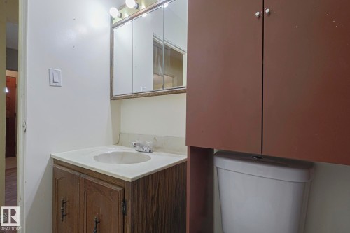12029 50 Street, Edmonton, AB - Indoor Photo Showing Bathroom