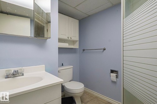12029 50 Street, Edmonton, AB - Indoor Photo Showing Bathroom
