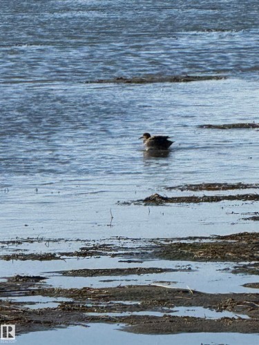 4531 47 Street, Rural Lac Ste. Anne County, AB - Outdoor With Body Of Water With View