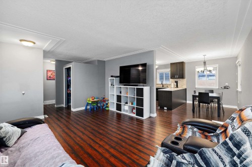 12039 52 Street, Edmonton, AB - Indoor Photo Showing Living Room