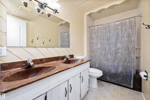 12039 52 Street, Edmonton, AB - Indoor Photo Showing Bathroom