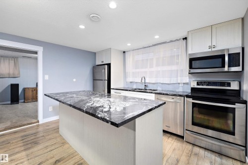 12039 52 Street, Edmonton, AB - Indoor Photo Showing Kitchen With Stainless Steel Kitchen With Upgraded Kitchen