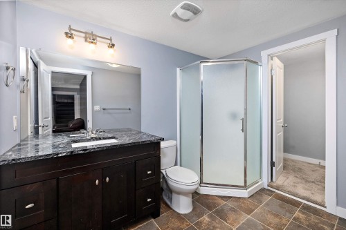 12039 52 Street, Edmonton, AB - Indoor Photo Showing Bathroom