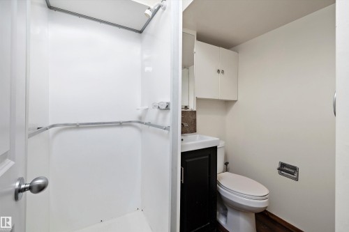 12039 52 Street, Edmonton, AB - Indoor Photo Showing Bathroom