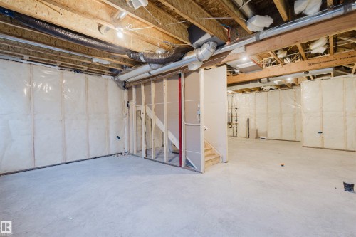 339 Munn Way, Leduc, AB - Indoor Photo Showing Basement