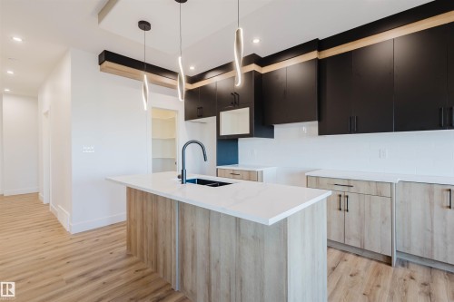 339 Munn Way, Leduc, AB - Indoor Photo Showing Kitchen With Double Sink With Upgraded Kitchen