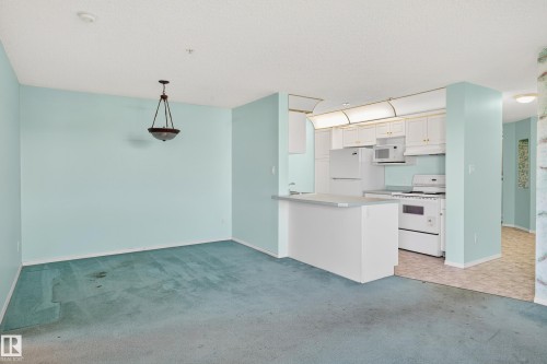 301 10511 42 Avenue, Edmonton, AB - Indoor Photo Showing Kitchen