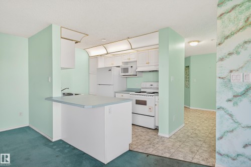 301 10511 42 Avenue, Edmonton, AB - Indoor Photo Showing Kitchen