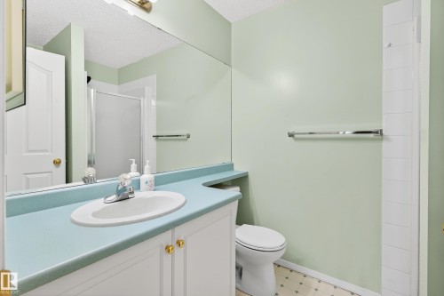 301 10511 42 Avenue, Edmonton, AB - Indoor Photo Showing Bathroom