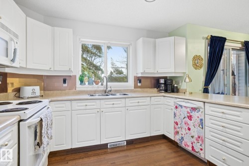 17 9935 167 Street, Edmonton, AB - Indoor Photo Showing Kitchen With Double Sink