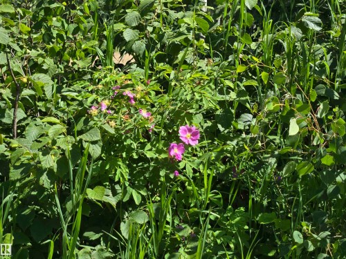 54516 Rge Road 41, Rural Lac Ste. Anne County, AB 