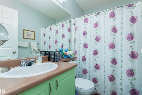 479 Meadowview Drive, Sherwood Park, AB - Indoor Photo Showing Bathroom