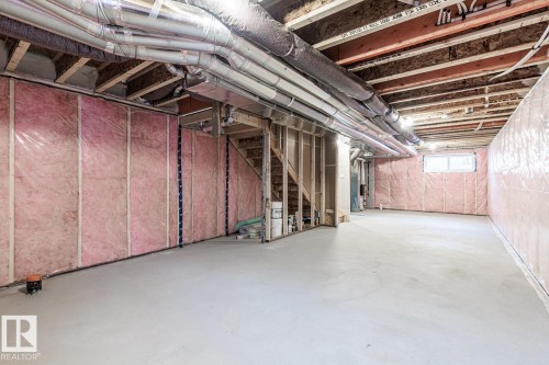 2929 Coughlan Green, Edmonton, AB - Indoor Photo Showing Basement