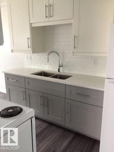 15930 109 Avenue, Edmonton, AB - Indoor Photo Showing Kitchen With Double Sink