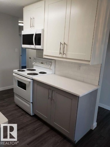 15930 109 Avenue, Edmonton, AB - Indoor Photo Showing Kitchen