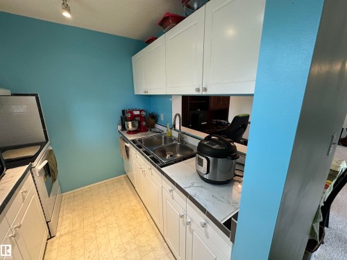 318 17109 67 Ave Nw, Edmonton, AB - Indoor Photo Showing Kitchen With Double Sink
