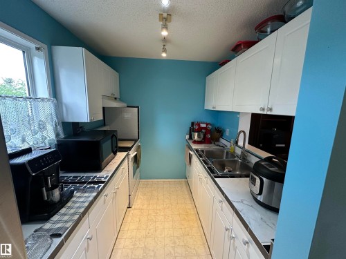318 17109 67 Ave Nw, Edmonton, AB - Indoor Photo Showing Kitchen With Double Sink