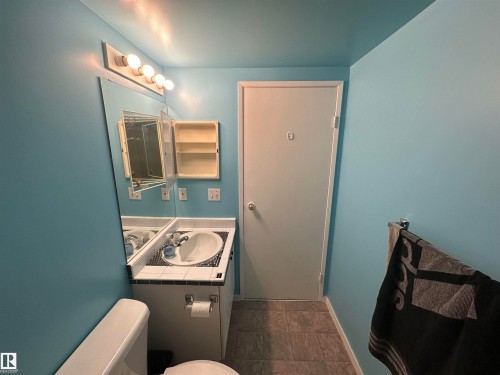 318 17109 67 Ave Nw, Edmonton, AB - Indoor Photo Showing Bathroom