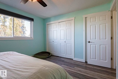 4211 30 Avenue, Edmonton, AB - Indoor Photo Showing Bedroom