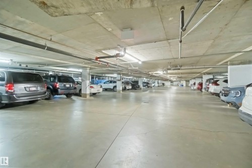 119 9535 176 Street, Edmonton, AB - Indoor Photo Showing Garage
