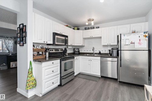 3320 48 Street, Edmonton, AB - Indoor Photo Showing Kitchen With Double Sink