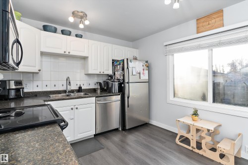 3320 48 Street, Edmonton, AB - Indoor Photo Showing Kitchen With Double Sink