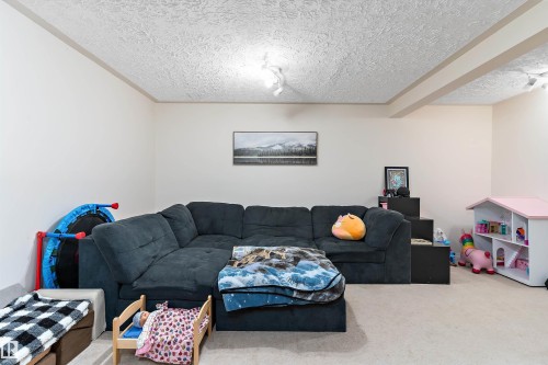 3320 48 Street, Edmonton, AB - Indoor Photo Showing Living Room