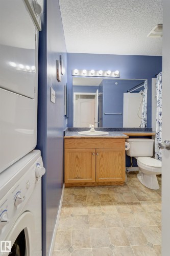 409 151 Edwards Drive Sw, Edmonton, AB - Indoor Photo Showing Laundry Room