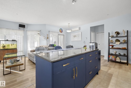 106 8931 156 Street, Edmonton, AB - Indoor Photo Showing Kitchen