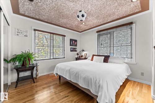 11124 110A Avenue, Edmonton, AB - Indoor Photo Showing Bedroom