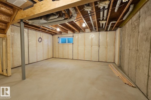 17 710 Mattson Drive, Edmonton, AB - Indoor Photo Showing Basement