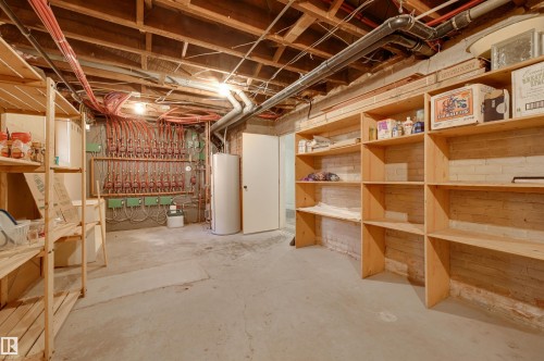 10317 Villa Avenue, Edmonton, AB - Indoor Photo Showing Basement