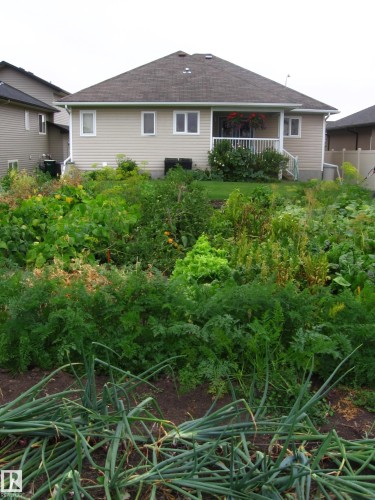 11107 103 Street, Westlock, AB - Outdoor With Deck Patio Veranda
