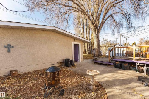 8204 163 Street, Edmonton, AB - Outdoor With Deck Patio Veranda
