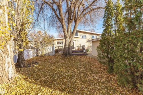 8204 163 Street, Edmonton, AB - Outdoor