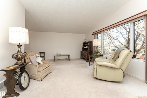 8204 163 Street, Edmonton, AB - Indoor Photo Showing Living Room
