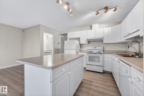1094 Barnes Way, Edmonton, AB - Indoor Photo Showing Kitchen With Double Sink