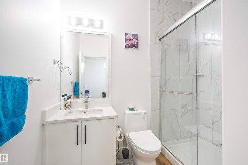 2126 209A Street, Edmonton, AB - Indoor Photo Showing Bathroom