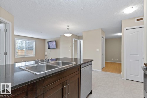 110 12035 22 Avenue Sw, Edmonton, AB - Indoor Photo Showing Kitchen With Double Sink