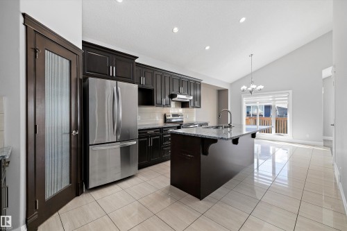 550 Albany Way, Edmonton, AB - Indoor Photo Showing Kitchen With Stainless Steel Kitchen With Upgraded Kitchen