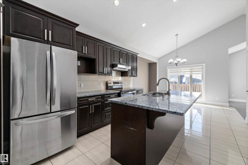 550 Albany Way, Edmonton, AB - Indoor Photo Showing Kitchen With Stainless Steel Kitchen With Upgraded Kitchen