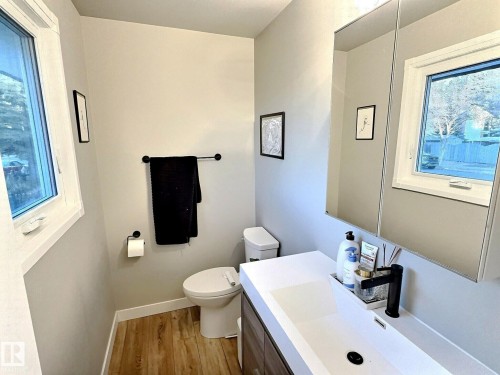 17119 82 Avenue, Edmonton, AB - Indoor Photo Showing Bathroom